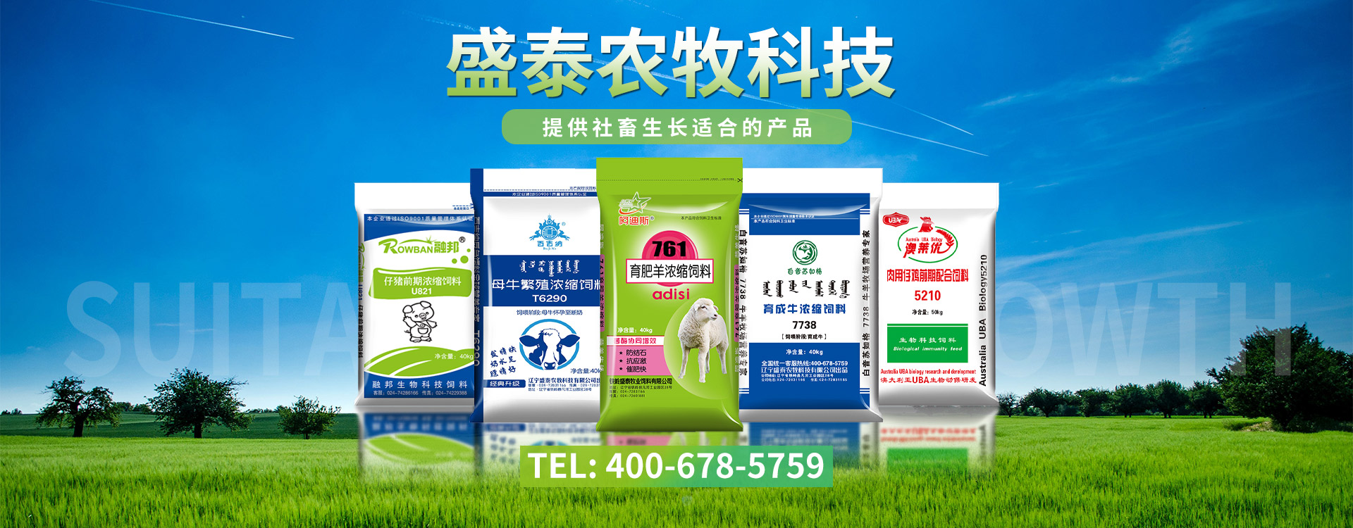 辽宁盛泰农牧科技有限公司