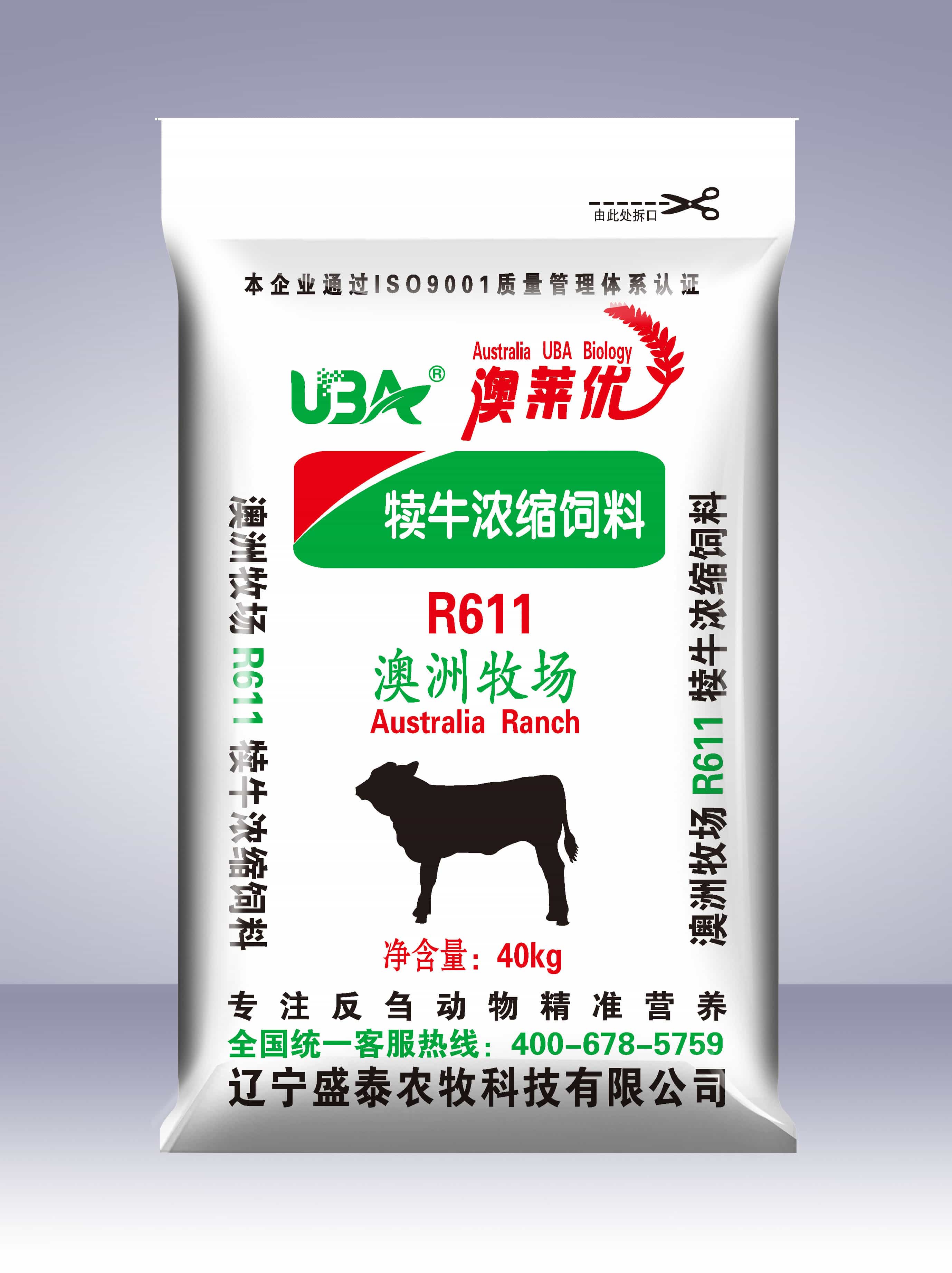R611