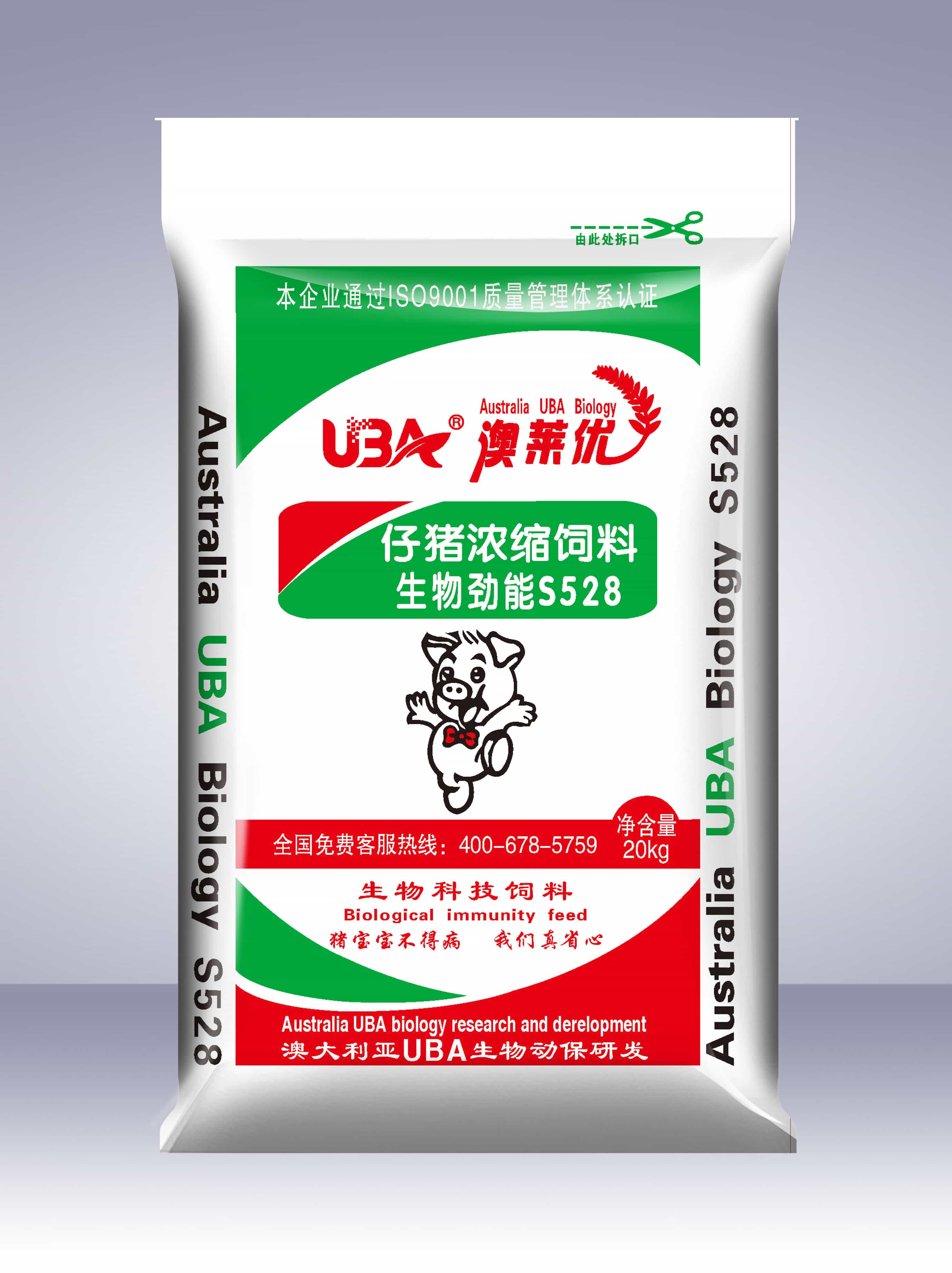 S528黄小